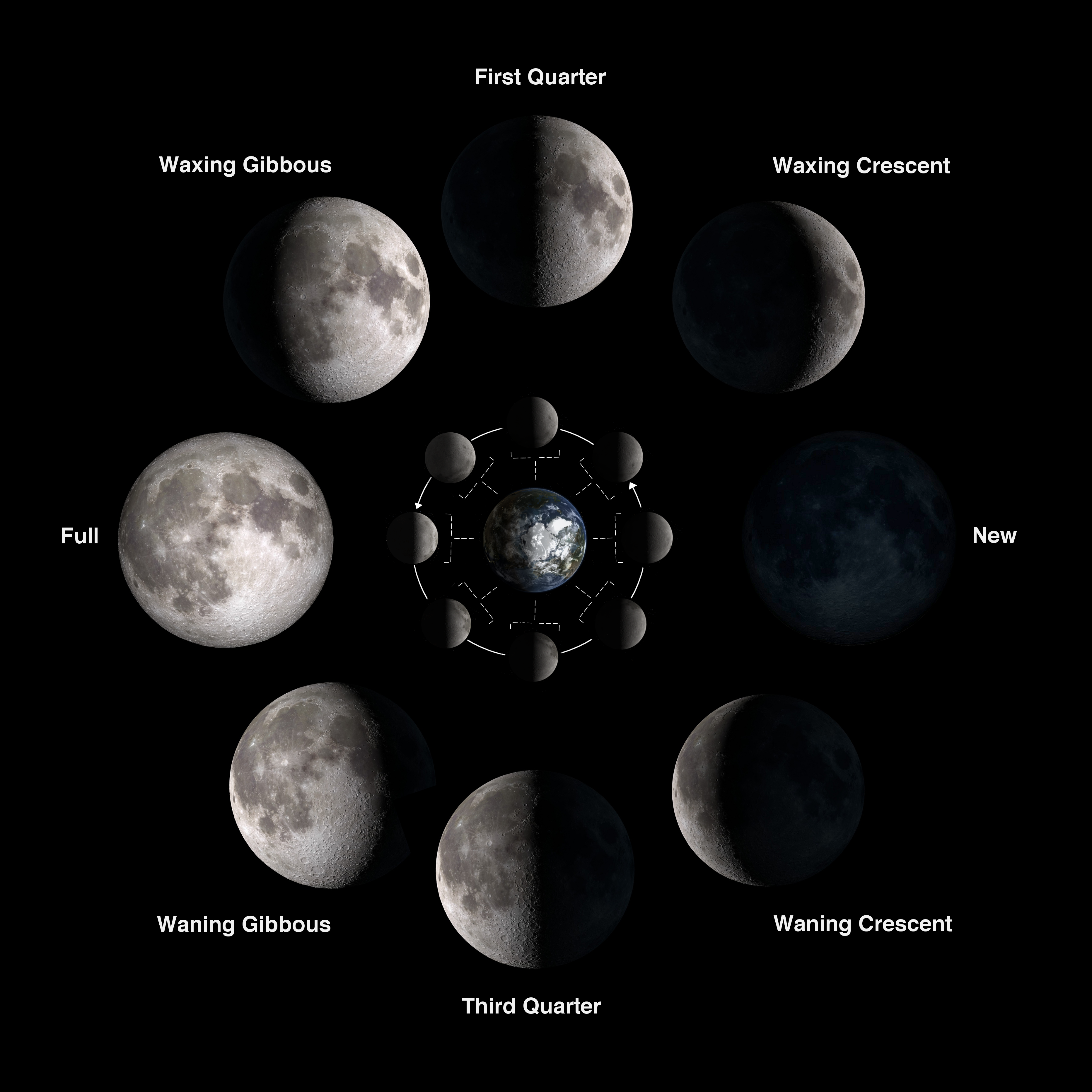 Phases of the Moon - Moon: NASA Science