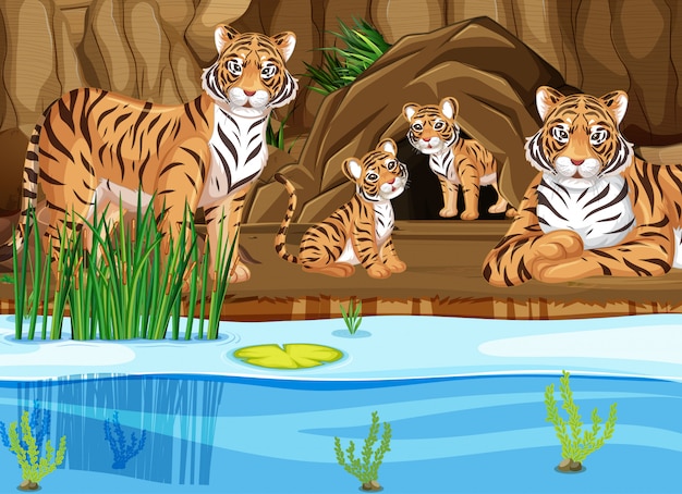 tiger habitat cliparts