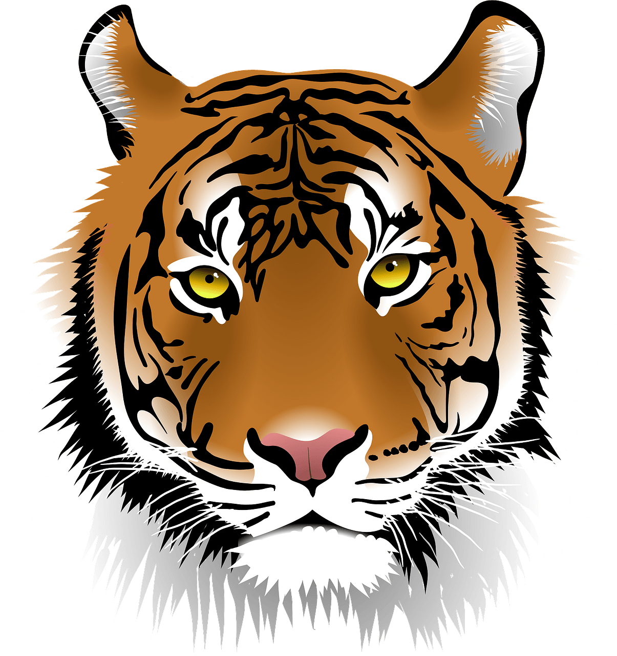 Tiger head - Free vector clipart images on clipart library.com