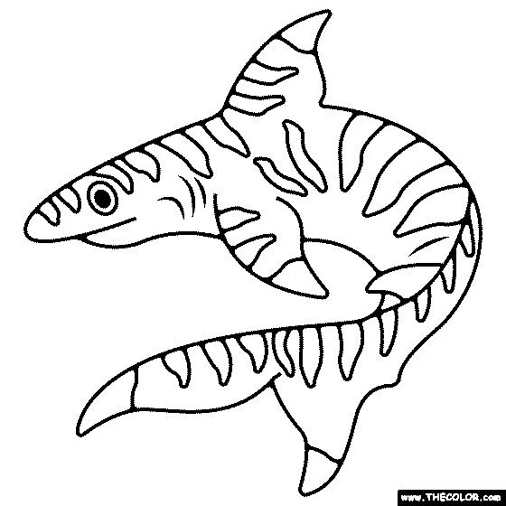 tiger shark coloring page