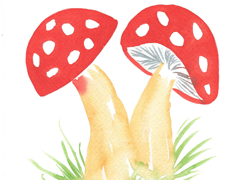 How to Paint Toadstools in Watercolour - #1 Tutorial - Emily Wassell