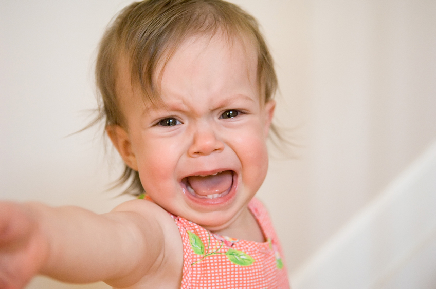 Guiding Toddlers - First Things First