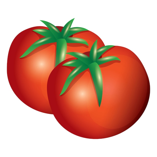 Premium Vector | Tomato illustrations on transparent background