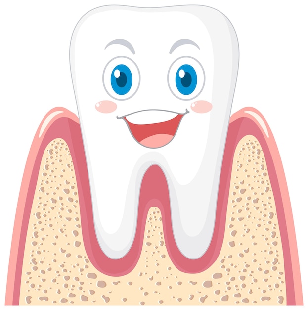 Teeth Tooth Bilder - Kostenloser Download auf clipart library