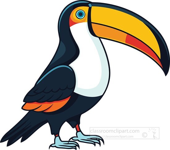 toucan cliparts