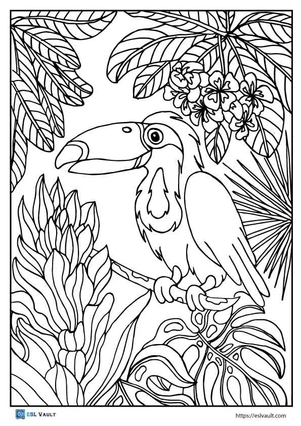 toucan coloring pages