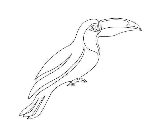 Premium Vector | Continuous one line drawing of toucan bird Simple ...