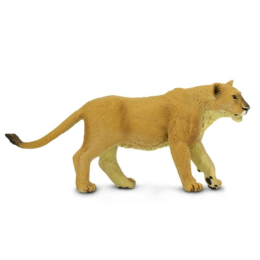 toy lioness cliparts