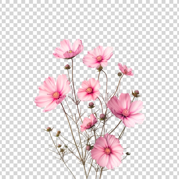Pink flowers on a transparent background | Premium AI-generated PSD