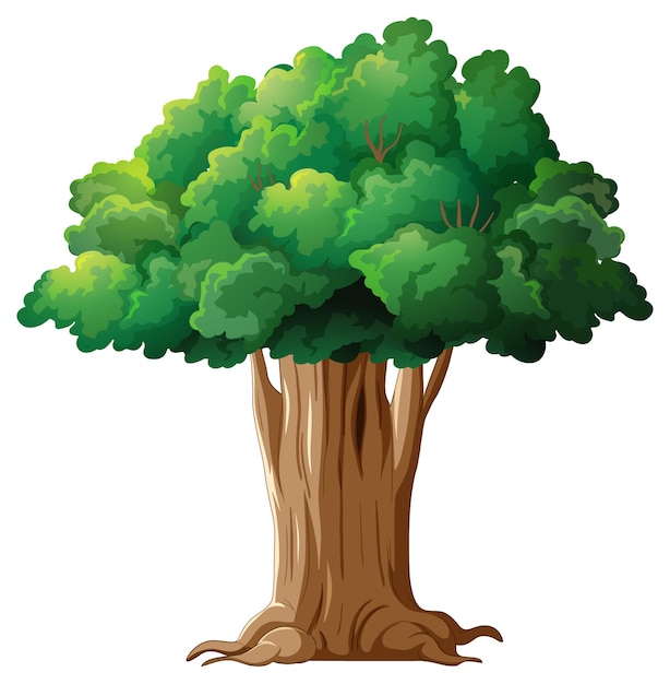Tree Cartoon-Bilder: Stock-Fotos &amp; -Videos. | Adobe Stock