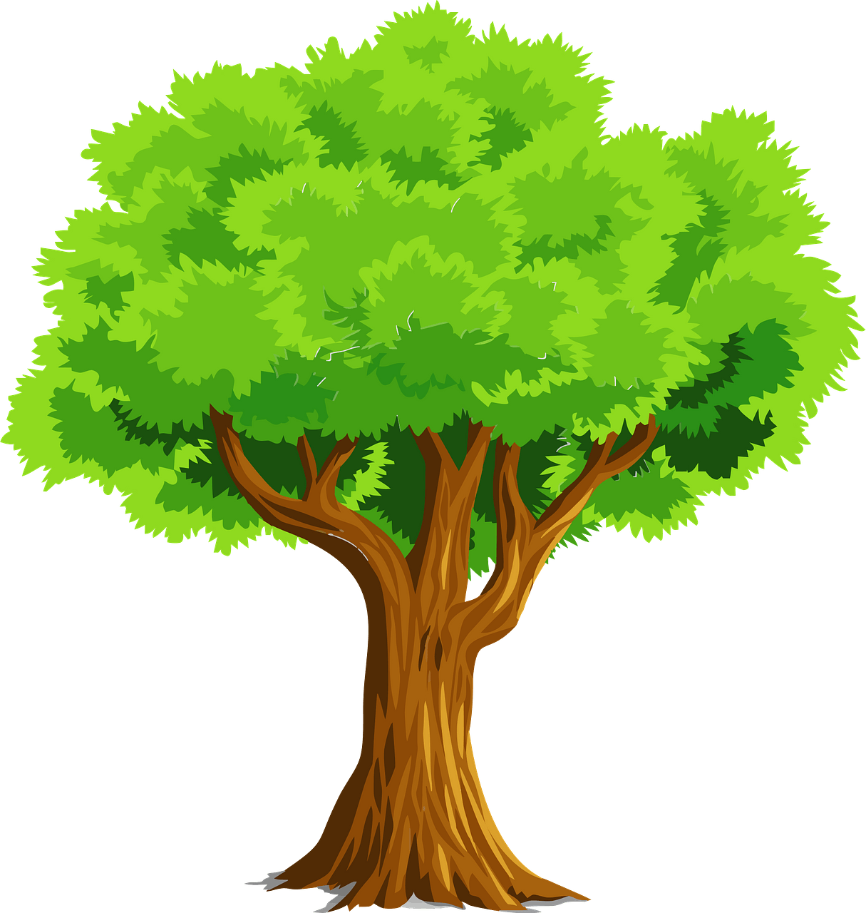 Colorful Natural Tree - Free vector clipart images on clipart library.com