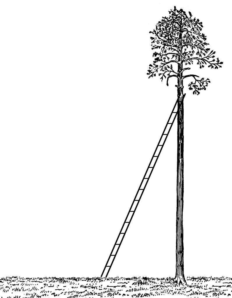 tree ladder cliparts