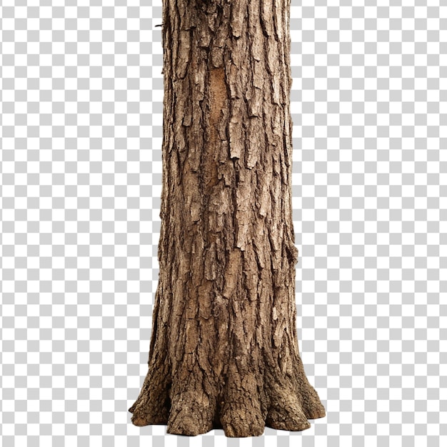 Tree trunk isolated on transparent background | Premium AI ...