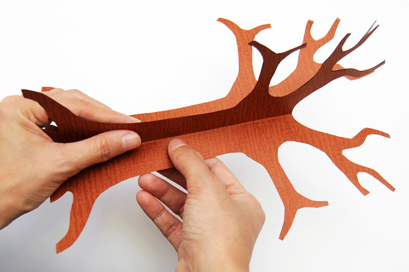 Tree Trunk | Free Printable Templates &amp; Coloring Pages ...