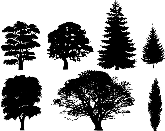 Free Trees Vector Art - Download 4,369+ Trees Icons &amp; Graphics ...