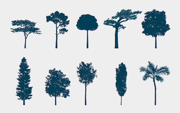 Tree Images - Free Download on clipart library