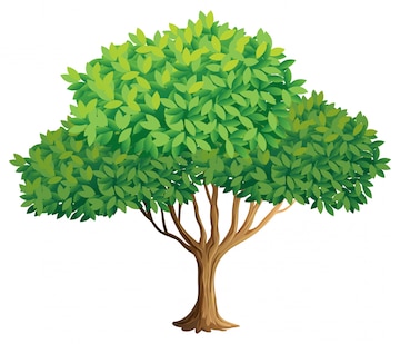 Tree Images - Free Download on clipart library