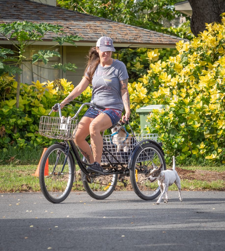 tricycle pictures