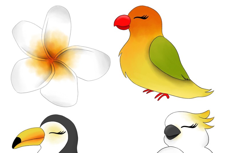 tropical birds clipart