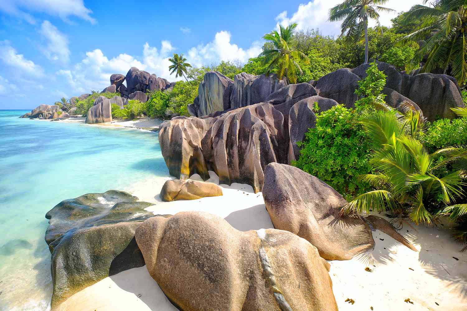 tropical vacation pictures