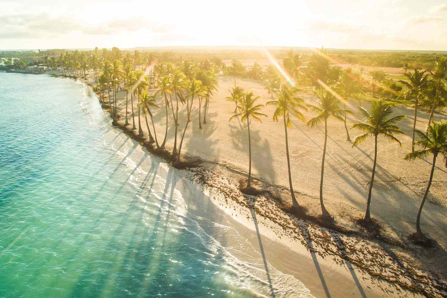 tropical vacation pictures