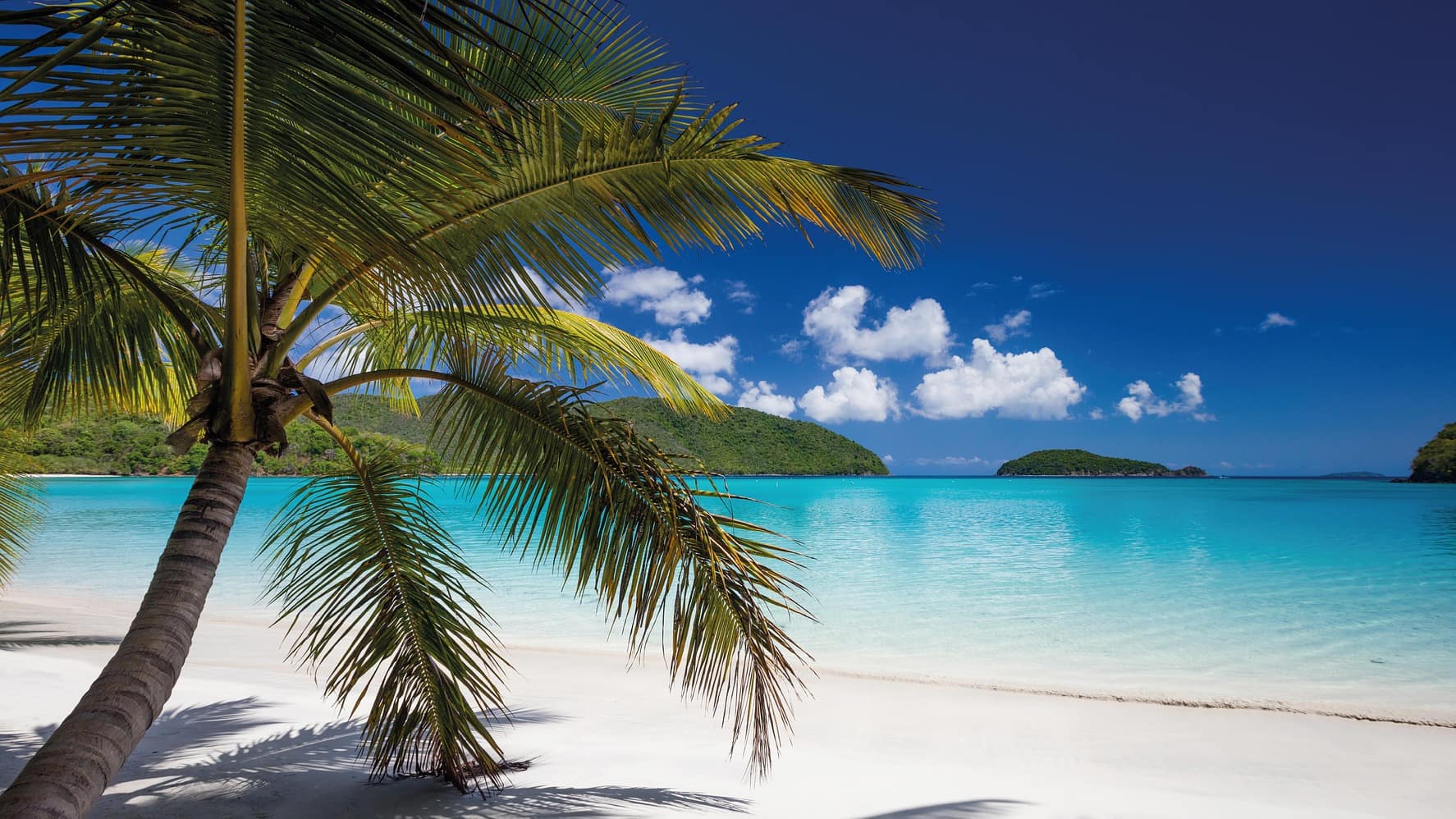 tropical vacation pictures