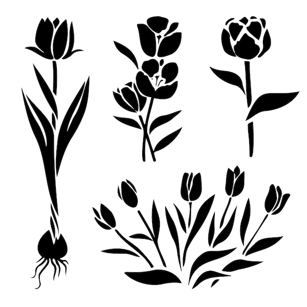Tulip Stencil Images - Free Download on clipart library