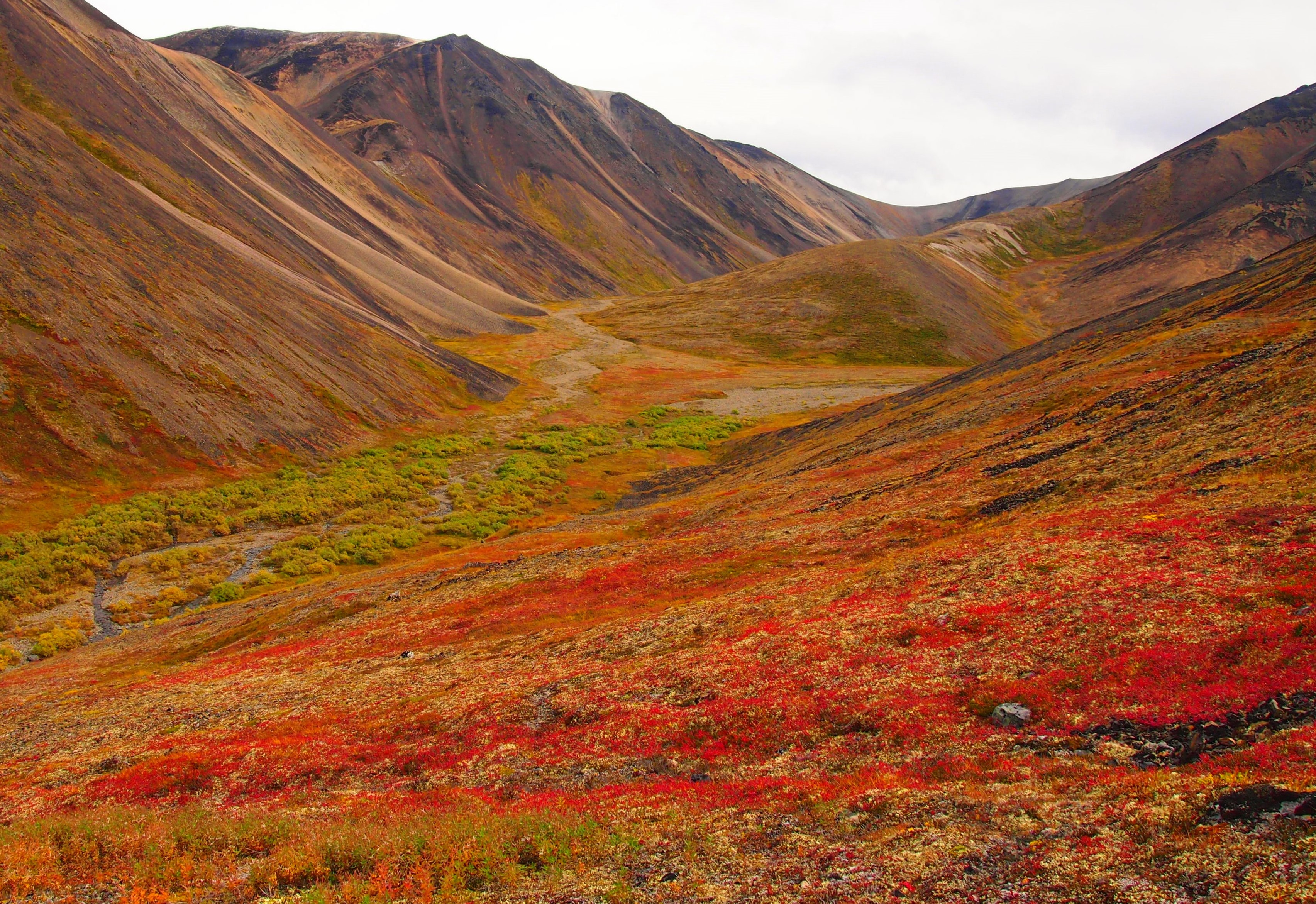 Tundra - Lake Clark National Park &amp; Preserve (U.S. National Park ...