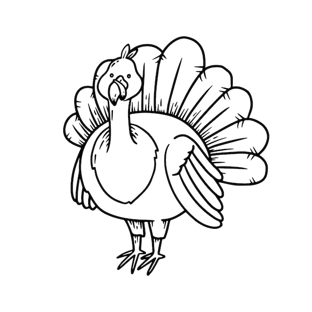 Turkey Drawing Images - Free Download on clipart library
