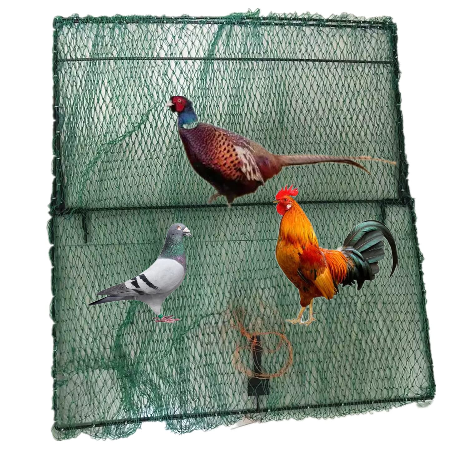 turkey trap cliparts