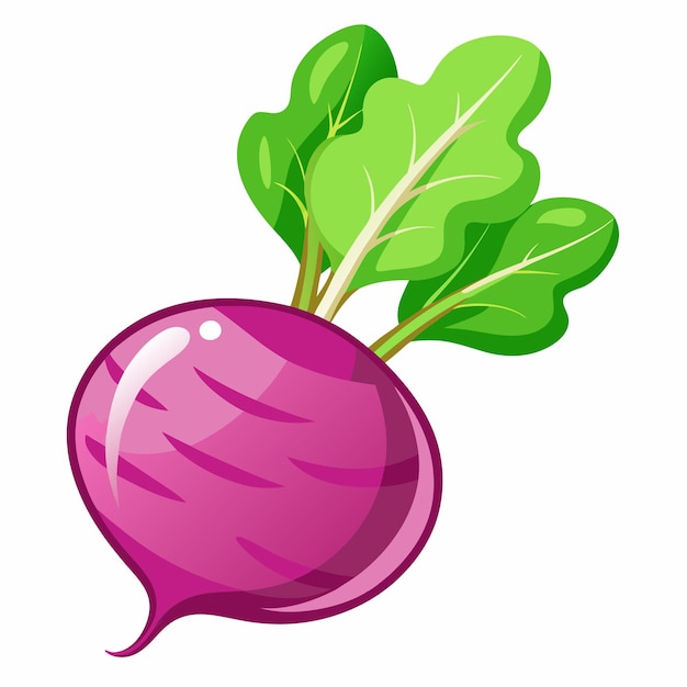 Premium Vector | Turnip clipart cartoon style vector illustration
