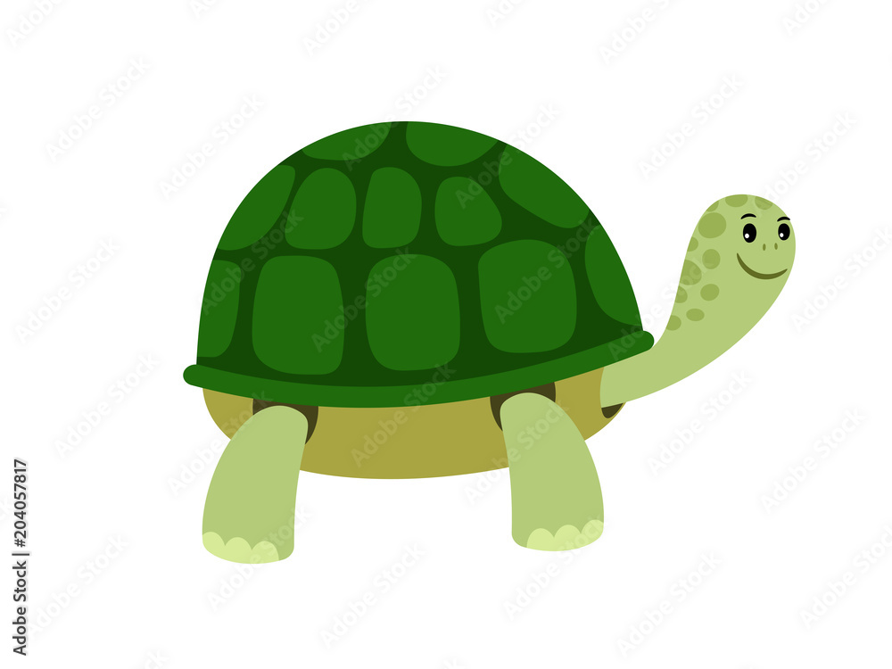 Green cute turtle cartoon icon, ssstocker Foto, Poster, Wandbilder ...