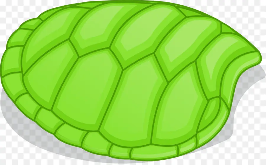 turtle shell clipart