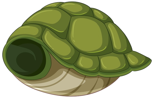 turtle shell clipart