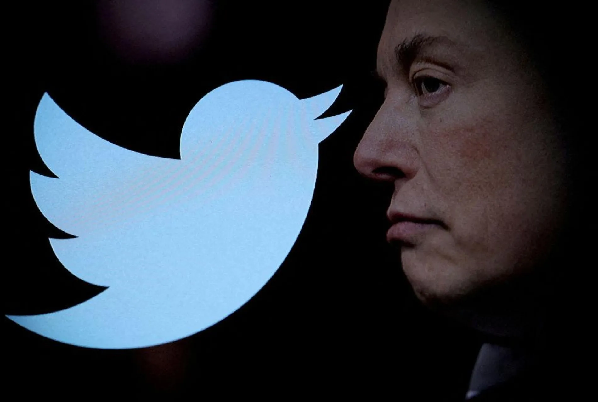 Twitter: Als Musk kam, verdoppelten sich die antisemitischen Tweets