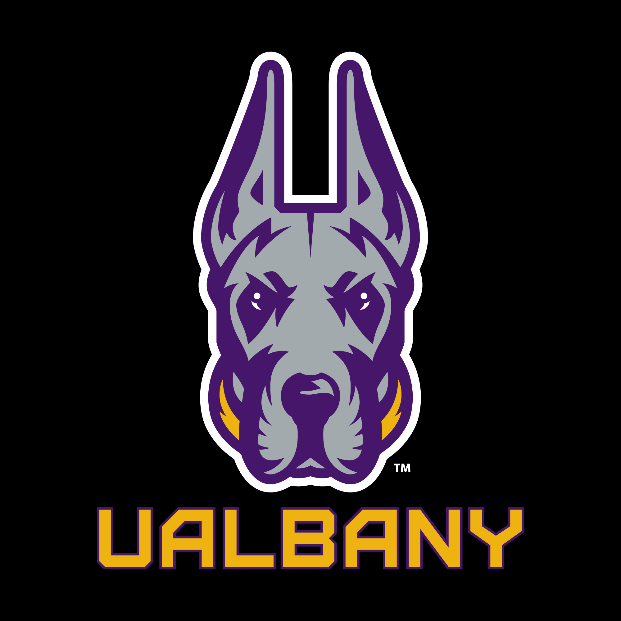 UAlbanys Malm Signs With New York Mets