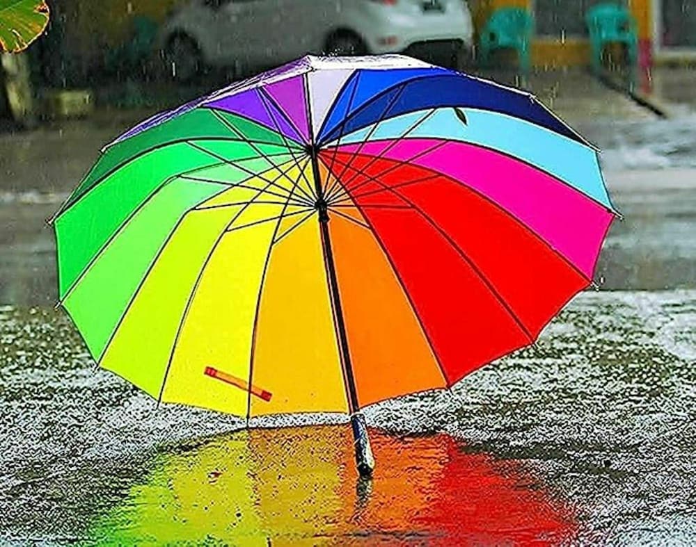 Colorful umbrella in ravensburger the