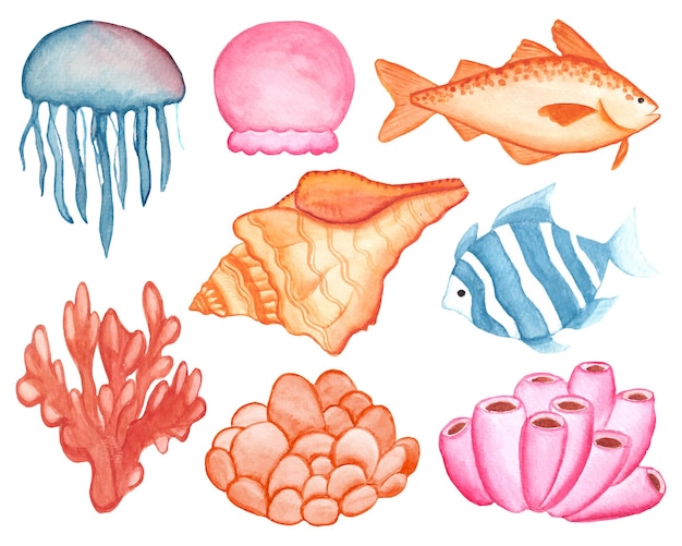 Premium Vector | Watercolor Under The Sea Clipart Set