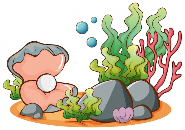 Underwater Clipart Images - Free Download on clipart library