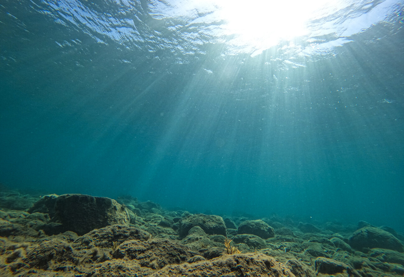 under the sea | Poster, Kunstdrucke, Fototapeten | Europosters