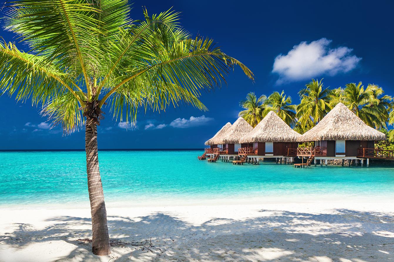 Luxury Vacation Packages &amp; Deals with Airfare 2025