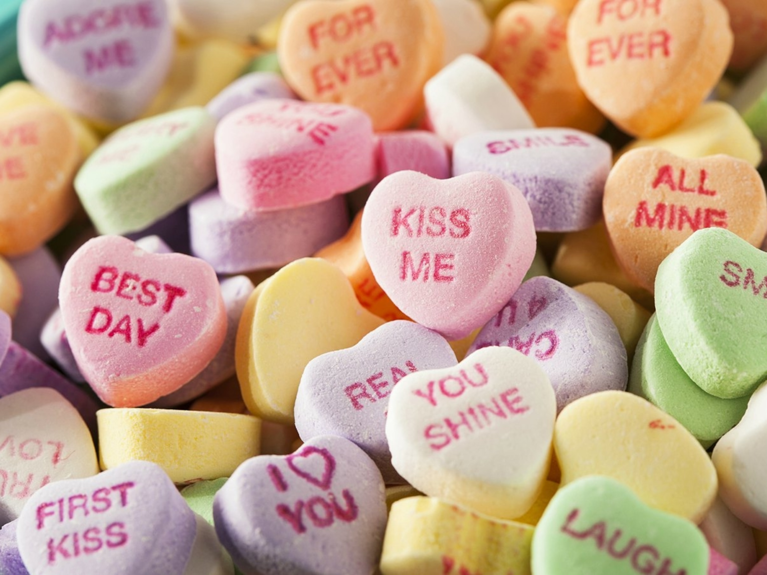 valentine s day picture