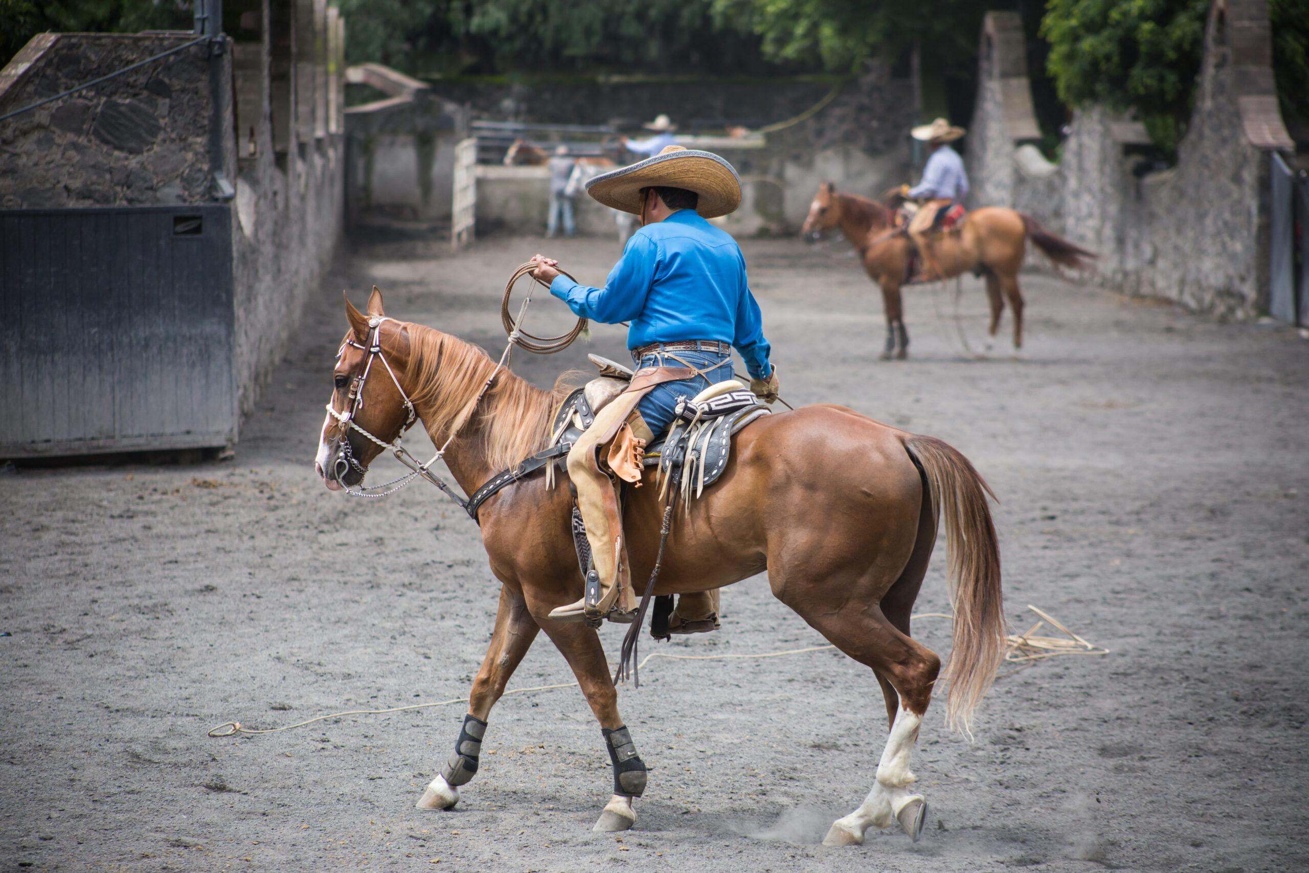 vaqueros