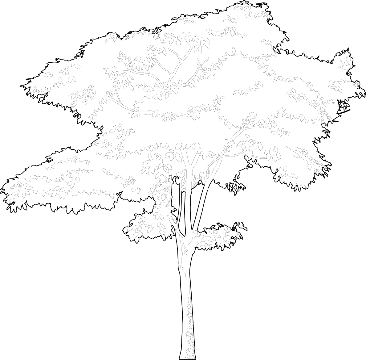 Drawing of a tree vector trees - Free dwg &amp; cad block | PIMPMYDRAWING