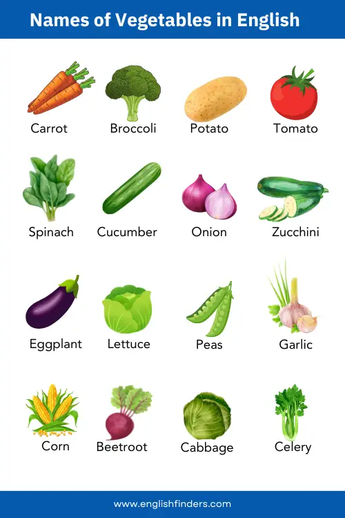 vegetable