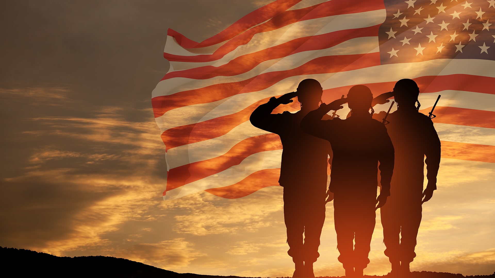 veterans day