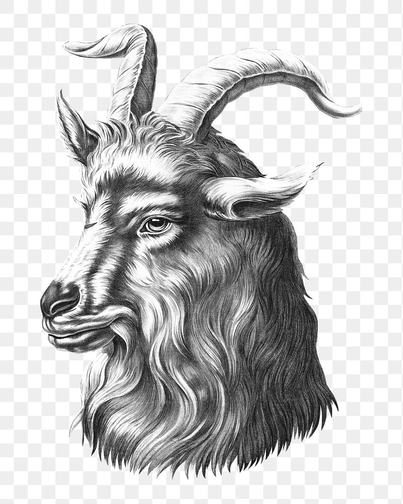 vintage goat cliparts
