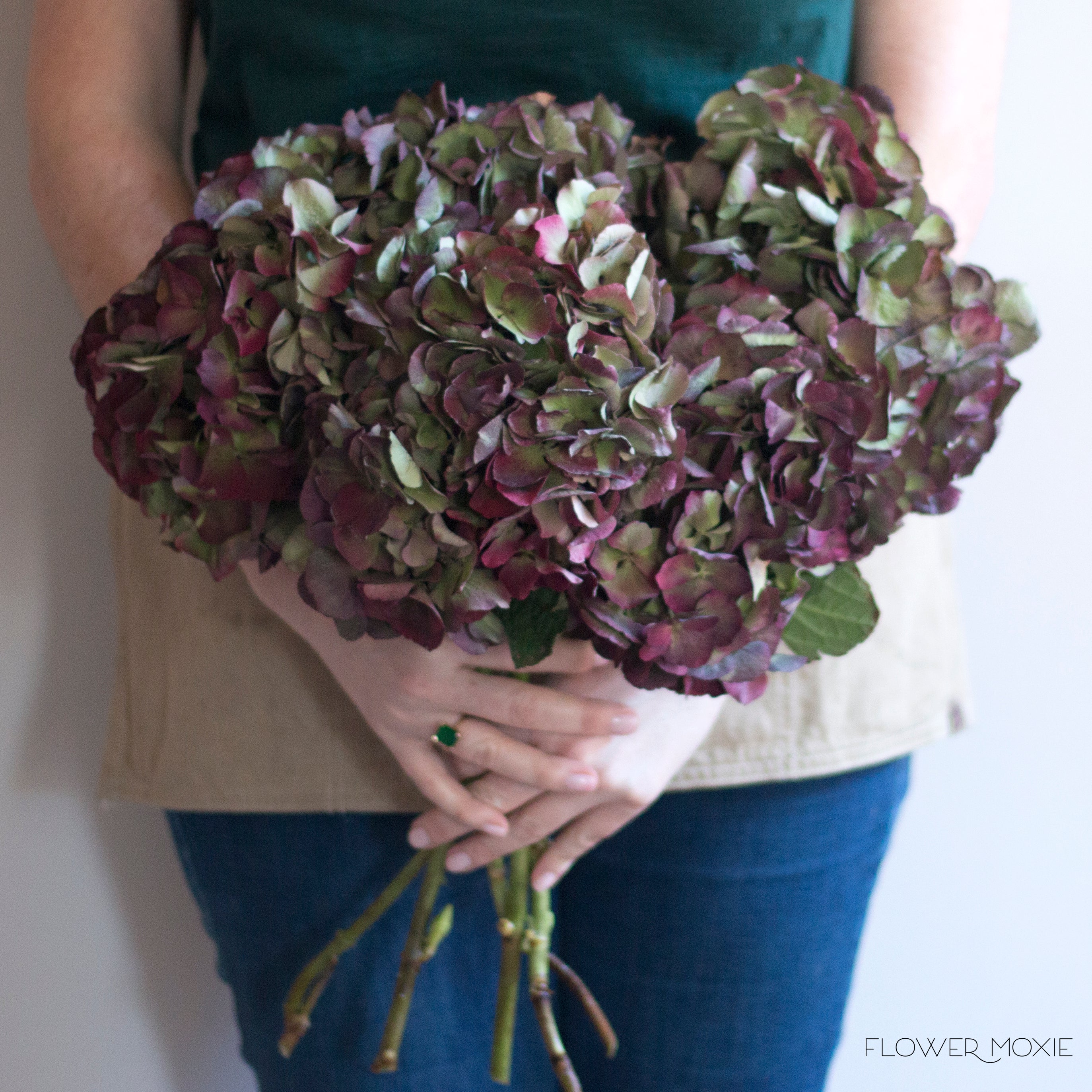 Antique Jumbo Hydrangea | DIY Wedding Flowers | Flower Moxie
