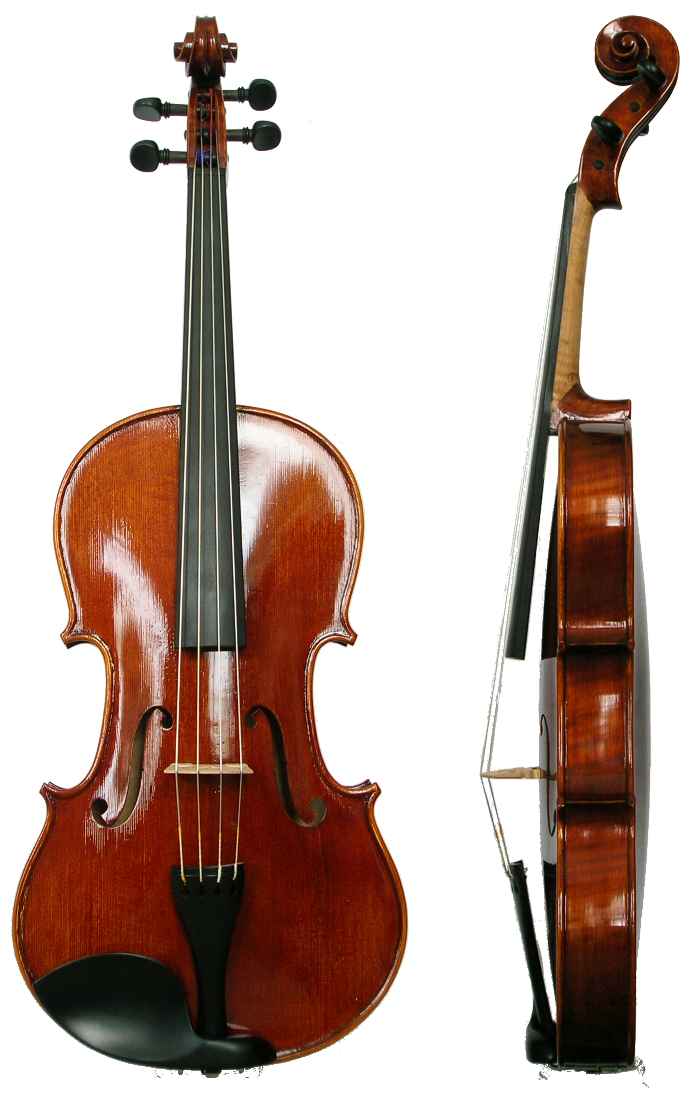 Viola - Wikipedia