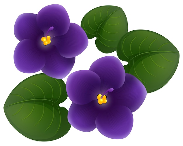 Violet Flower Clipart Images - Free Download on clipart library